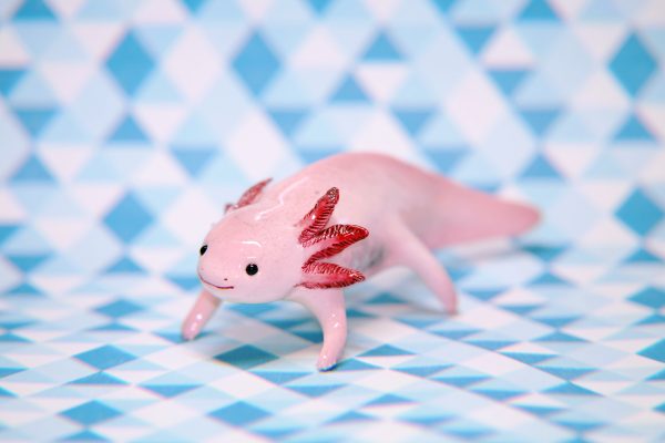 Pink Axolotl