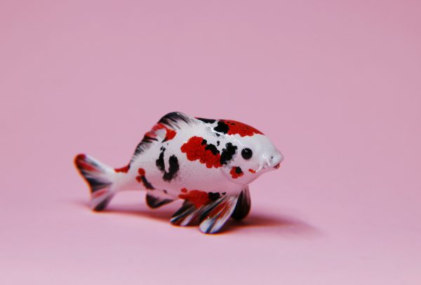 Tri-colored Koi Fish Polymer Clay Figurine OOAK
